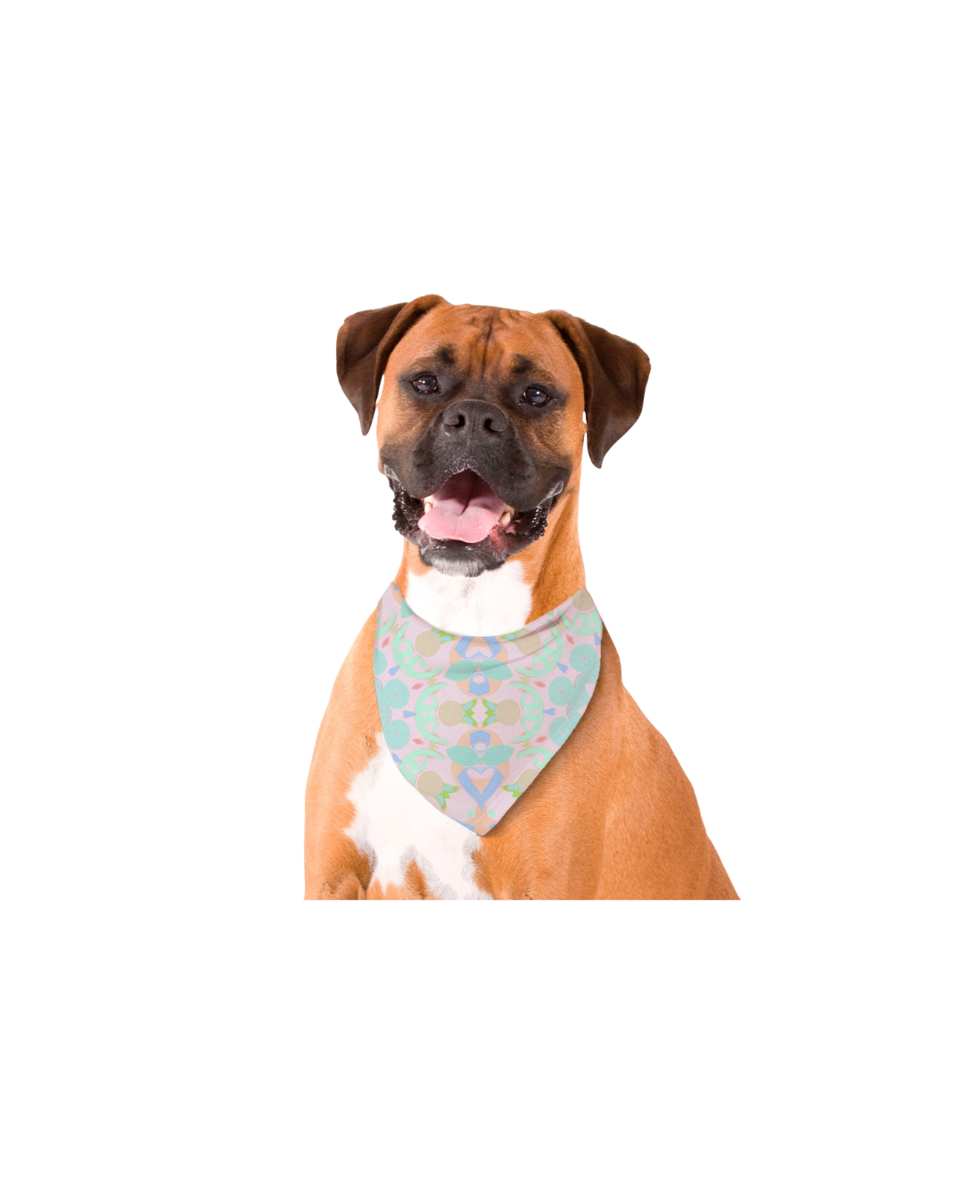 Samantha Jezek Art x B. Hartzell - Kaleidoscope Scarf for Dogs- PRE-ORDER - SHIPS IN NOVEMBER