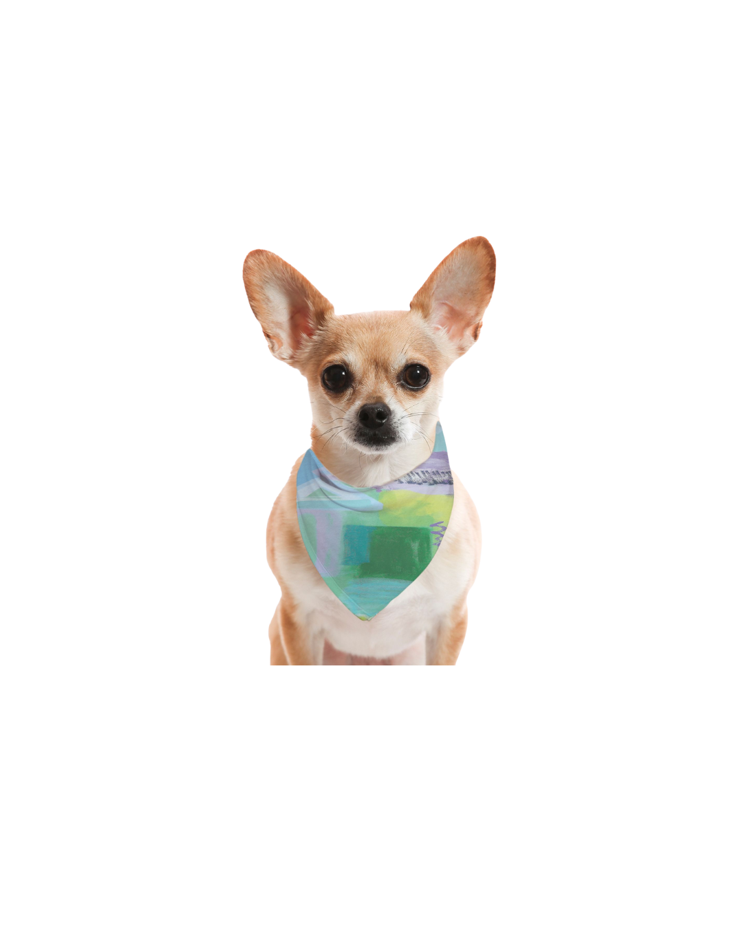 Samantha Jezek Art x B. Hartzell - Abstract Scarf for Dogs- PRE-ORDER - SHIPS IN NOVEMBER
