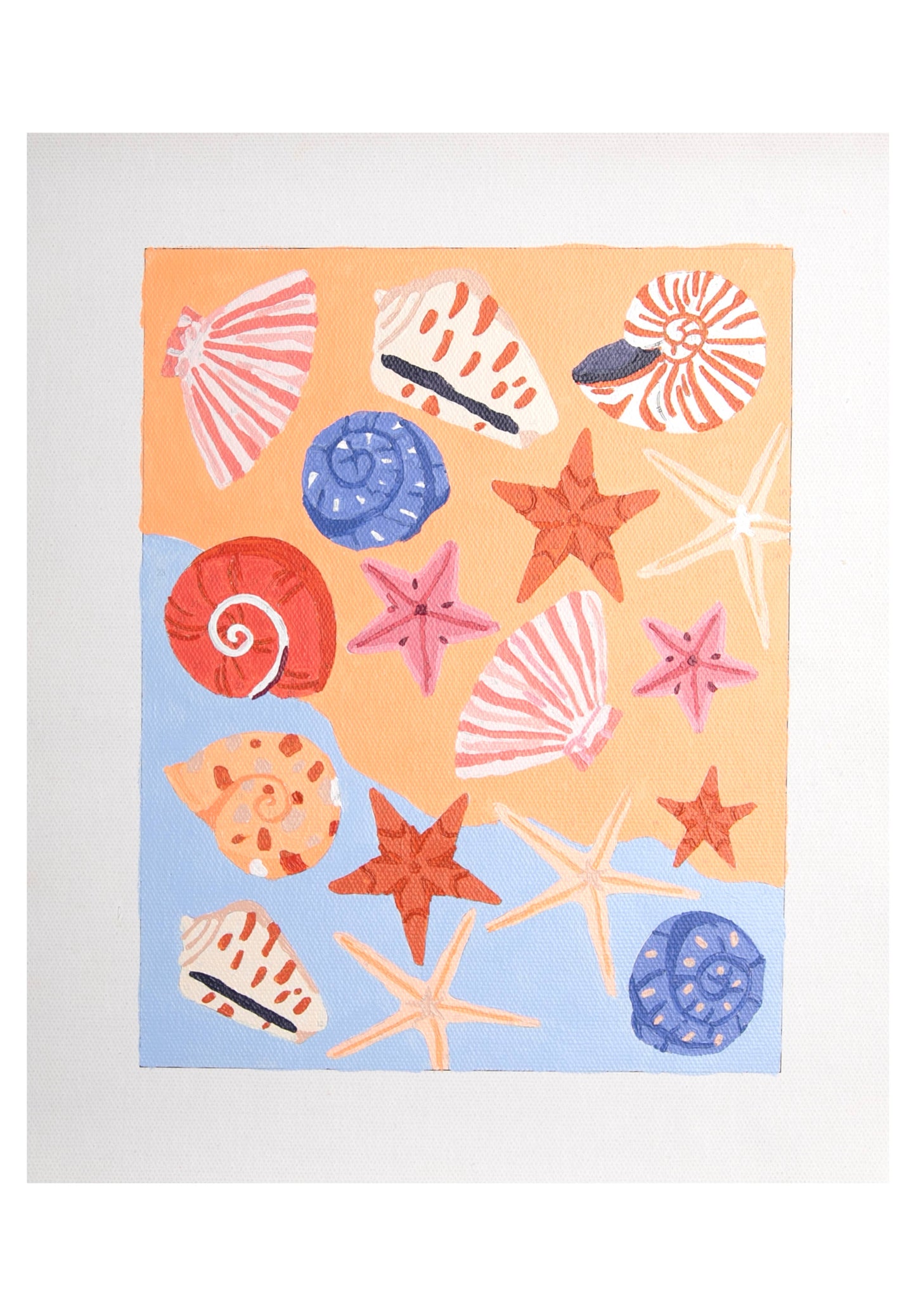 See Some Shells