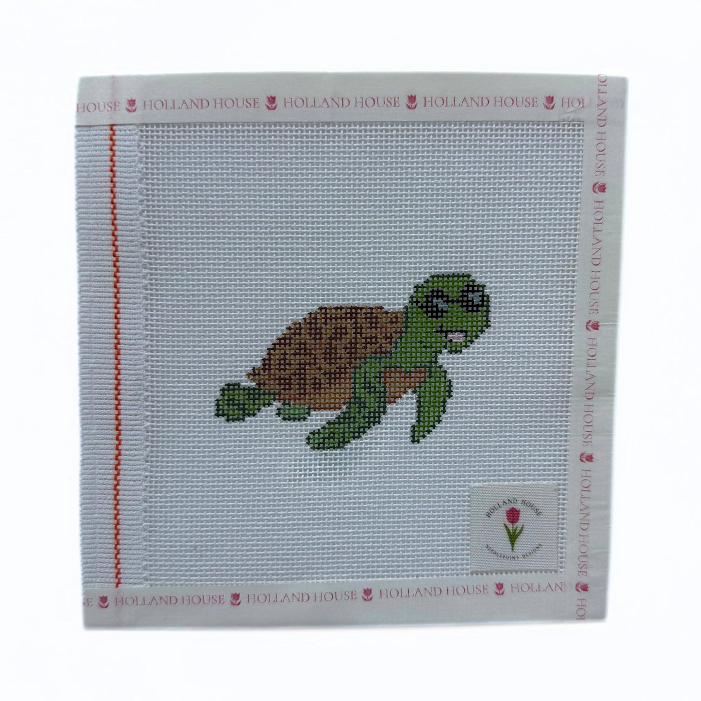 Sea Turtle Mini