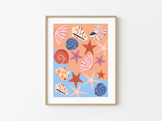 See Some Shells