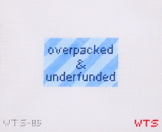 Overpacked & Underfunded Needlepoint Canvas